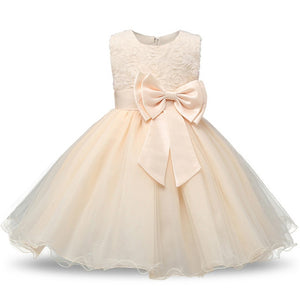 2019 Infant Baby Girls Flower Dresses Christening Gowns Newborn Babies Baptism Clothes Princess tutu Birthday White Bow Dress